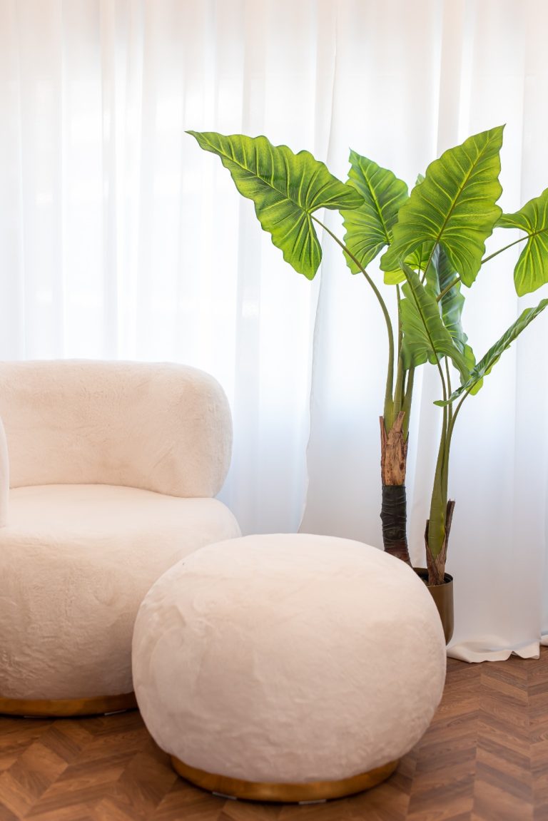 WhatsApp Image 2023-06-03 at 9.59.26 AM (1)